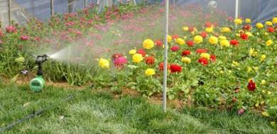 Digital Water Control Timer for Garden