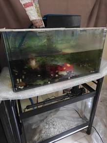 Stand with Aquarium full set