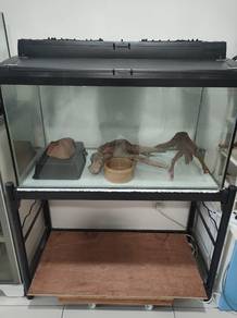 4 Feet Custom Glass Terrarium Tank Enclosure Setup