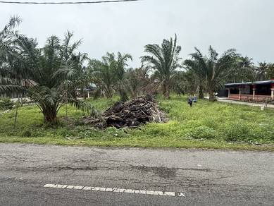 Agricultural Land in Tanjong Karang, SGR