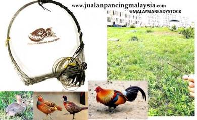 Racik aring gantung burung wak wak ayam hutan