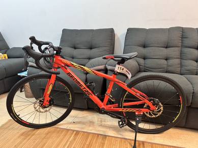 Geometric Luath 24” Road Bike