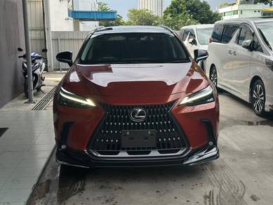 Lexus NX 250 LUXURY in Puchong, KUL
