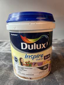 Dulux Wall Paint (Grey)