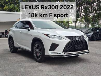 2022 Lexus RX 300 F SPORT