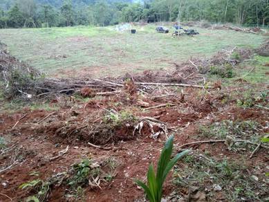 Agricultural Land in Jelebu, NSN
