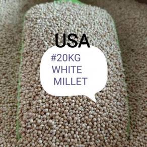 Bird Food White Millet USA Sekoi Putih 20kg Feed