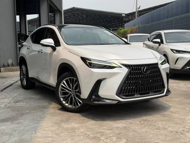 Lexus NX 250 LUXURY in Chan Sow Lin, KUL