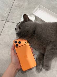 iPhone 17Pro Max