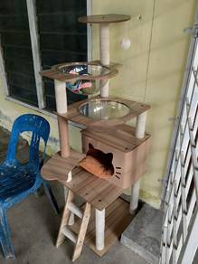 rak kucing
