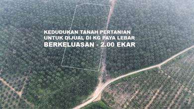 Agricultural Land in Masjid Tanah, MLK