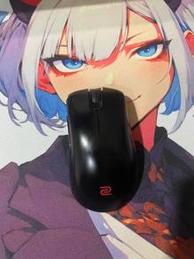 Zowie ec2-cw wireless gaming mouse