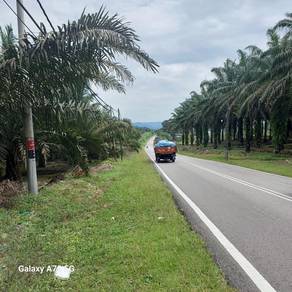 Agricultural Land in Kota Tinggi, JHR
