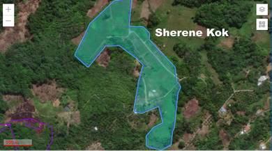 Agricultural Land in Serian, SWK