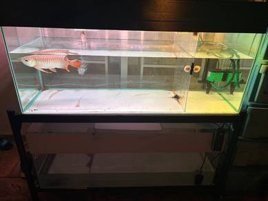 aquarium 4ft fullset