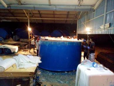 Barramundi Hatchery Tank ( offer )