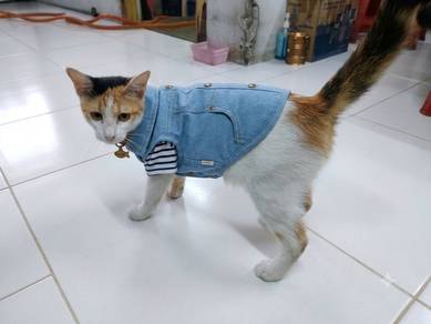 GirlMika Adoption Ipoh