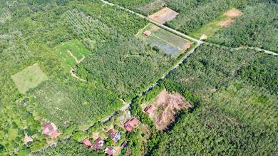 Agricultural Land in Pendang, KDH