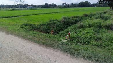 Agricultural Land in Paya Rumput, MLK