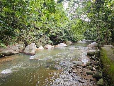 Hotel / Resort For Sale in Bentong,PHG