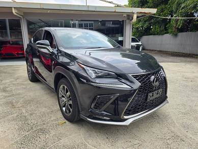 Lexus NX 300 F SPORT in Damansara Kim, SGR