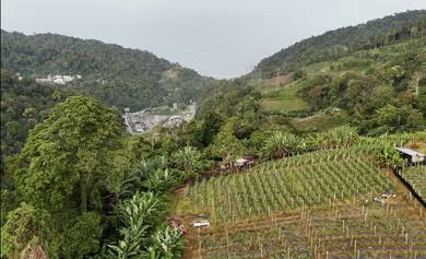 Agricultural Land in Genting Highlands, PHG