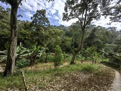 Agricultural Land in Bayan Lepas, PNG