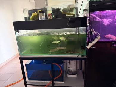 aquarium