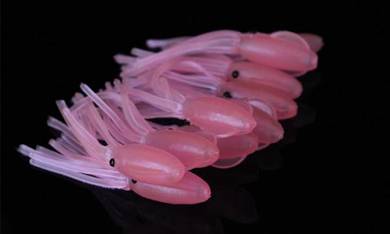 JPM Cute Pink Night Glow Squid