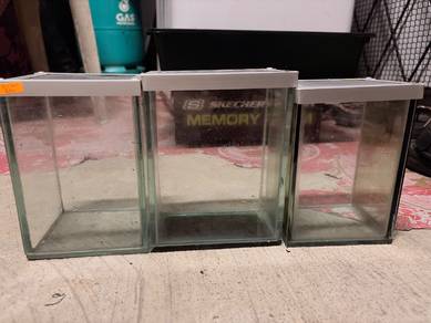 Mini Aquarium kaca