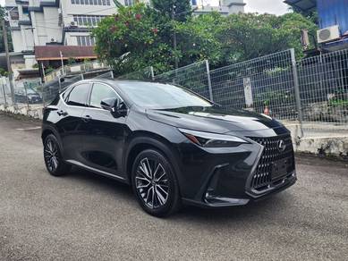 2022 Lexus NX 250 LUXURY