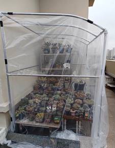 10s x 6m x 6m UV sheet / Greenhouse Film