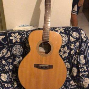 Takamine D50