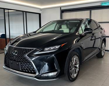 2020 Lexus RX 300 LUXURY