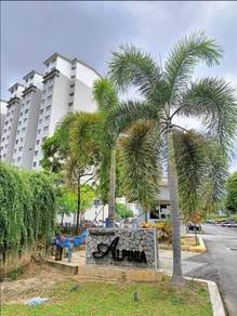 Apartment For Rent in Pangsapuri Alpinia