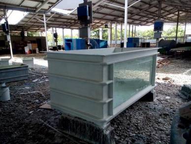 Arowana Tank