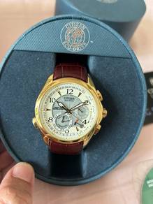 Citizen Eco-Drive Calibre 9000 (BL9002-37A)