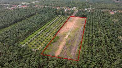 Residential Land in Matang, PRK