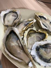 Penang Fresh Oyster 🦪