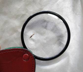 Portable Folding Glass Lens Cortical Pocket Magnif