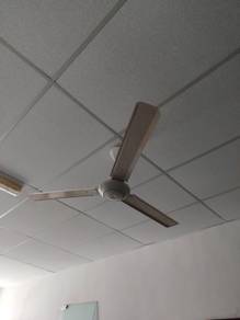 3 Blades Ceiling Fans