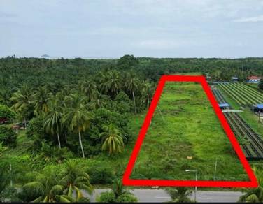 Agricultural Land in Kuala Selangor, SGR