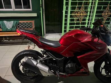 Kawasaki Z 250