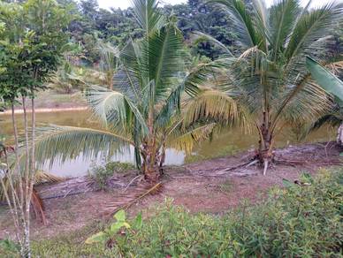 Agricultural Land in Bentong, PHG