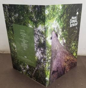 Empty Folder Malaysia Largest Cengal Tree 2023