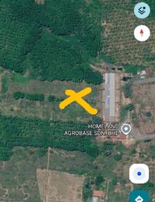 Agricultural Land in Bukit Kayu Hitam, KDH