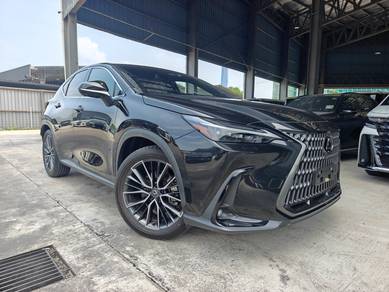Lexus NX 250 LUXURY in Chan Sow Lin, KUL