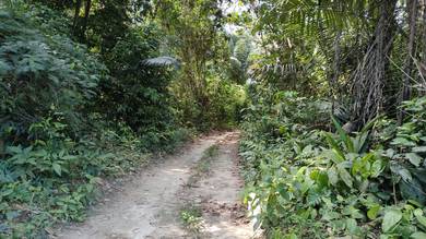 Agricultural Land in Lenggeng, NSN