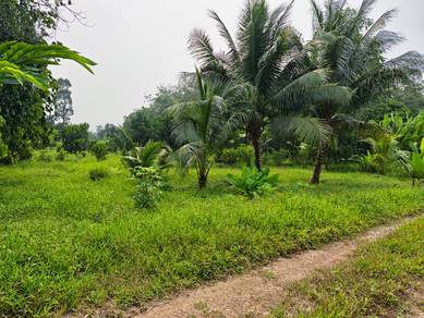Agricultural Land in Pontian, JHR