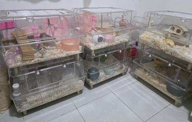 Acrylic cage
